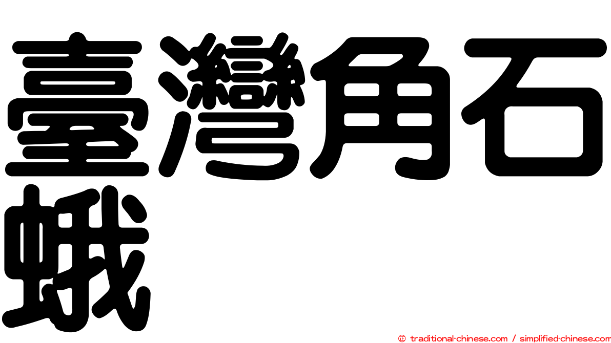 臺灣角石蛾