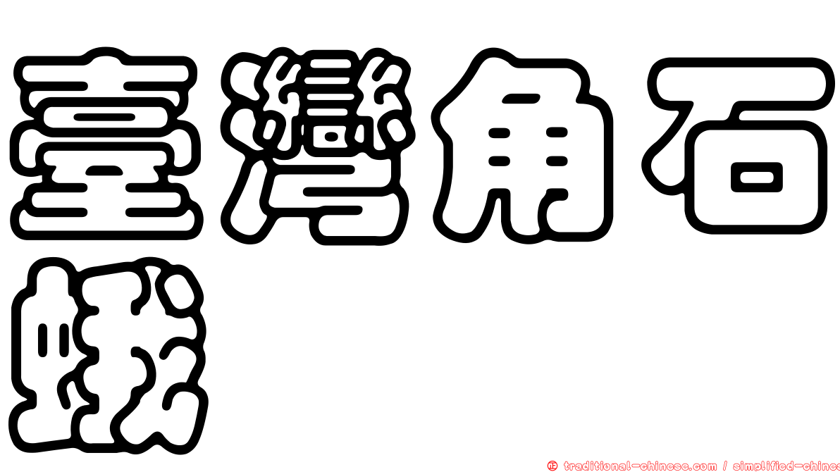 臺灣角石蛾
