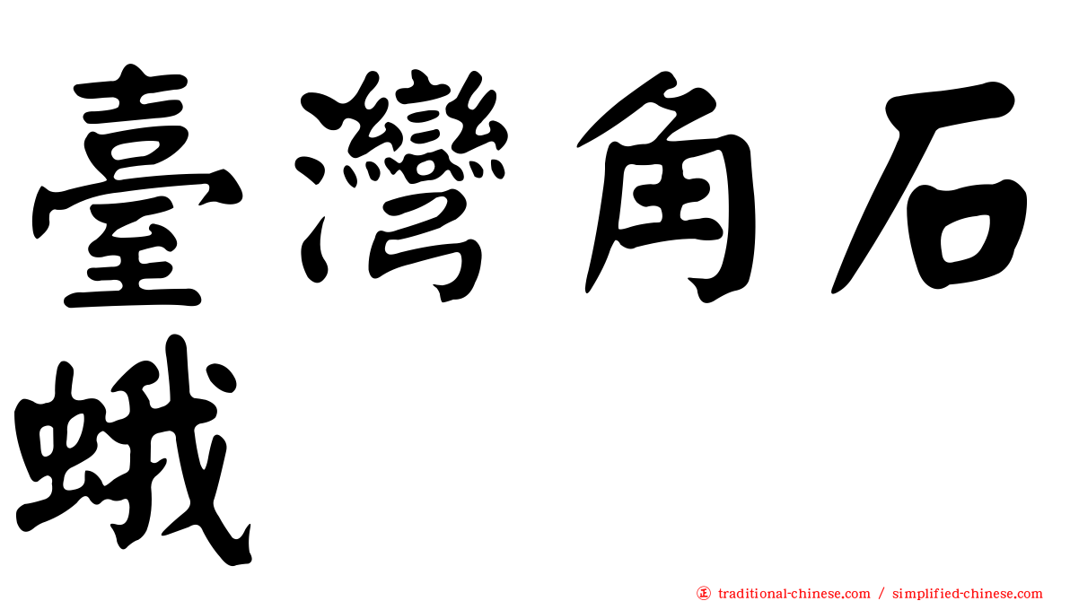 臺灣角石蛾