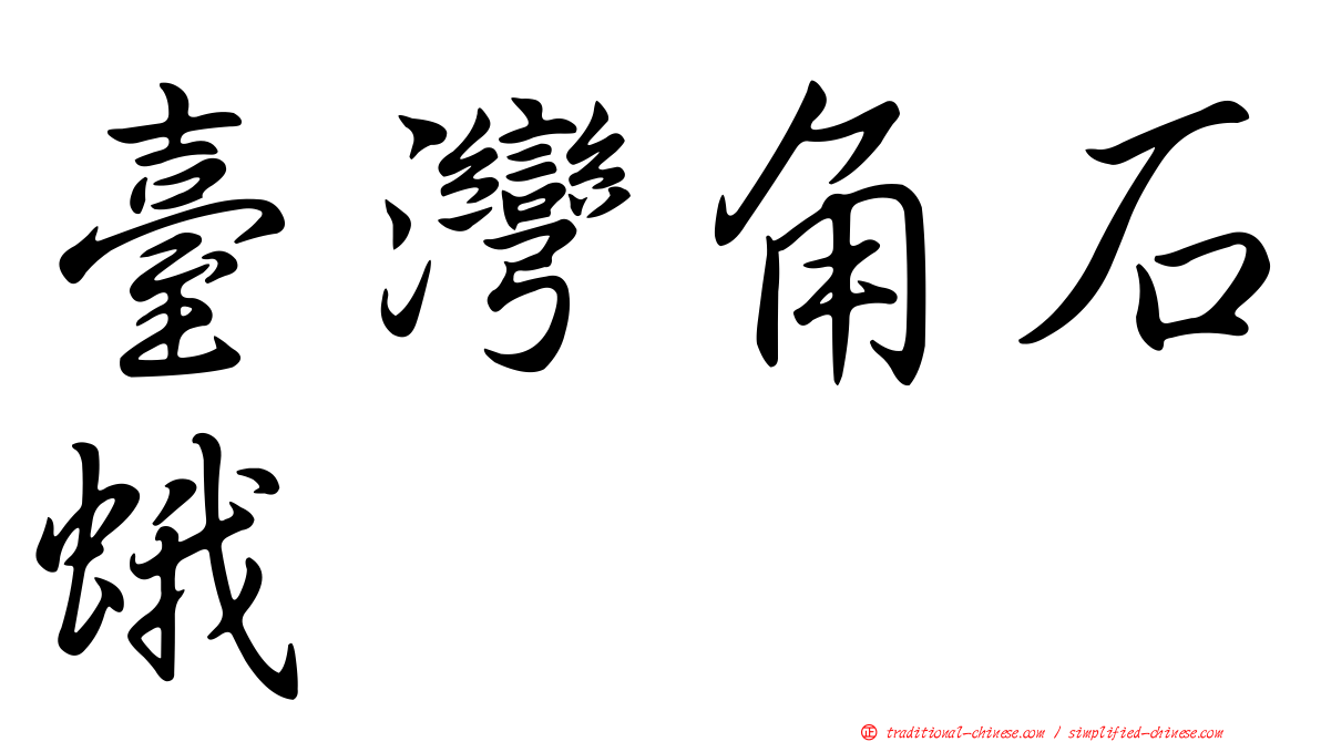 臺灣角石蛾