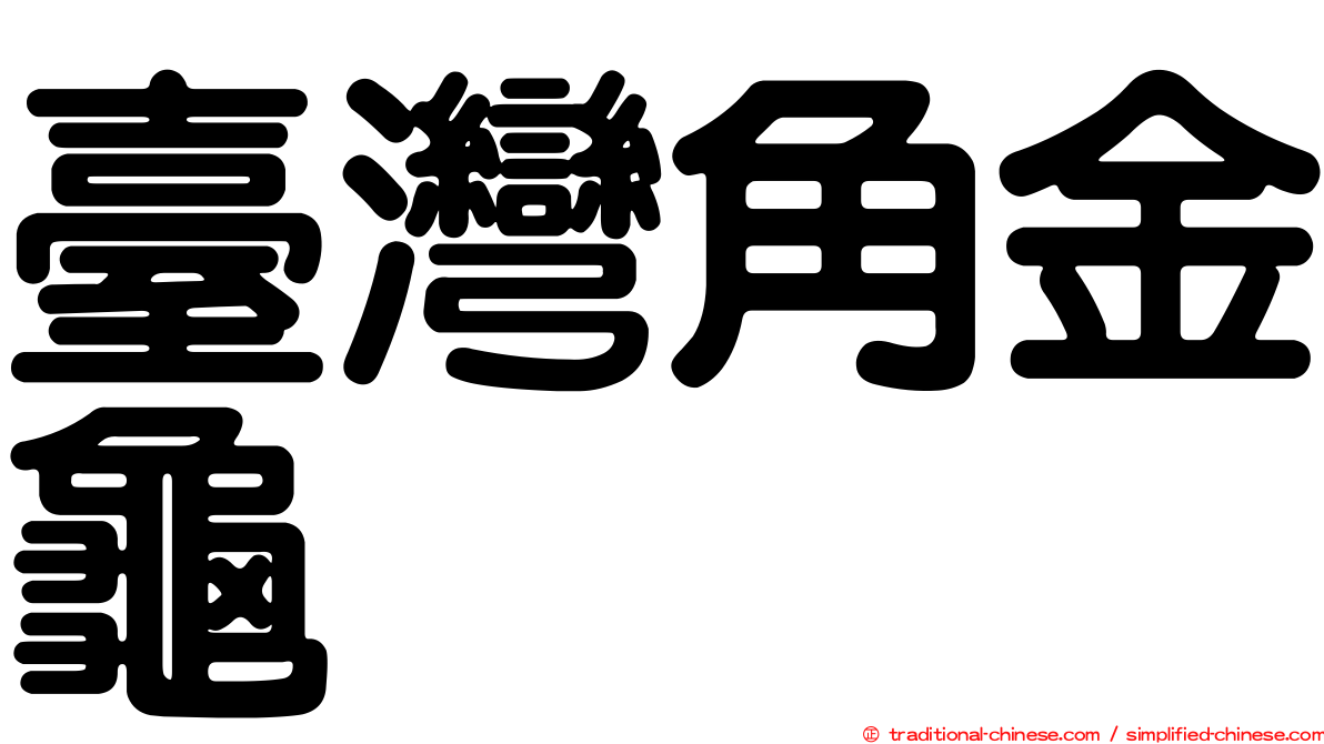 臺灣角金龜
