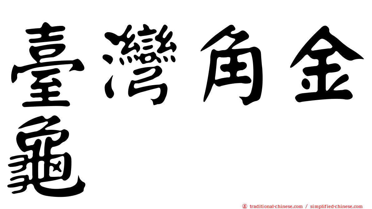 臺灣角金龜