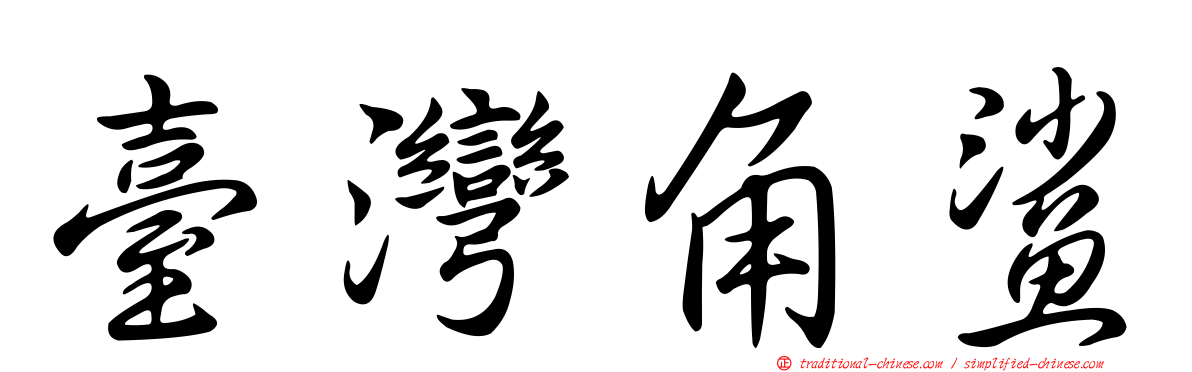 臺灣角鯊