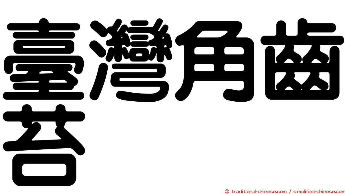 臺灣角齒苔