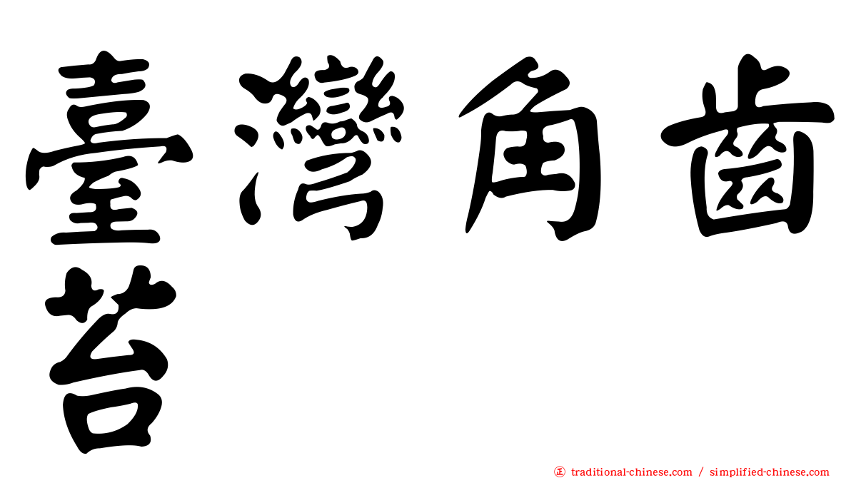 臺灣角齒苔