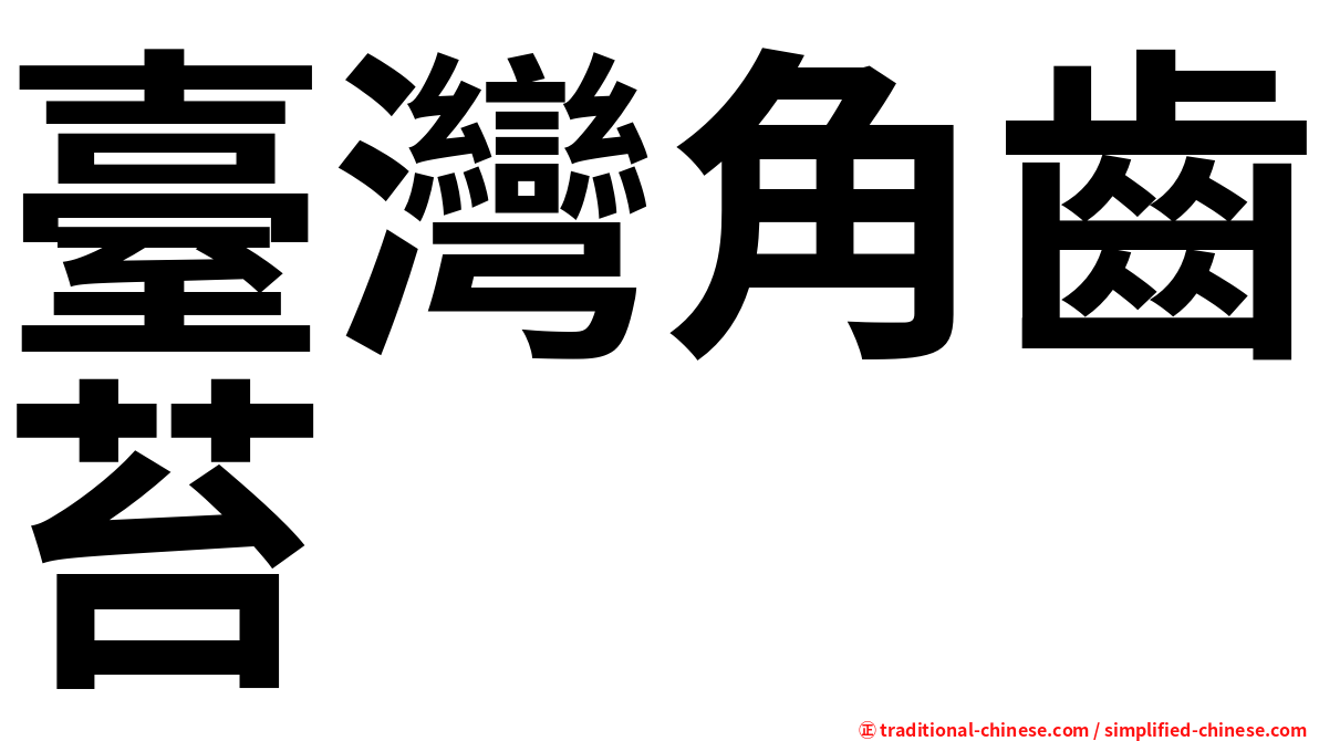 臺灣角齒苔