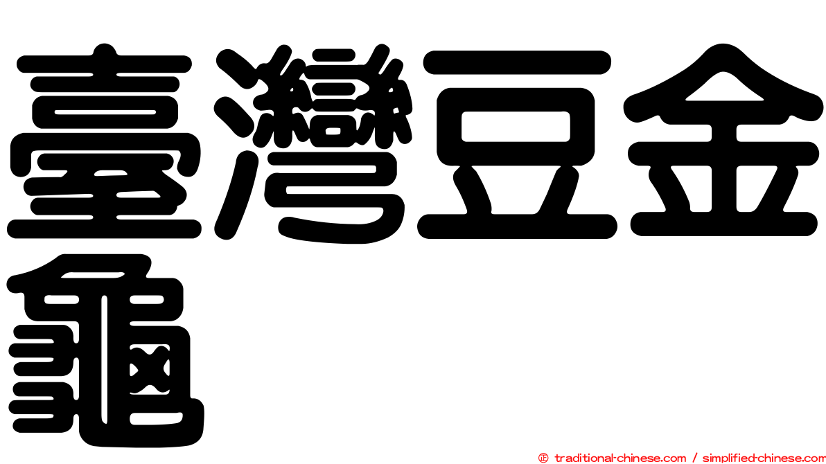臺灣豆金龜