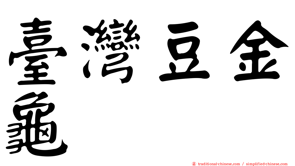臺灣豆金龜