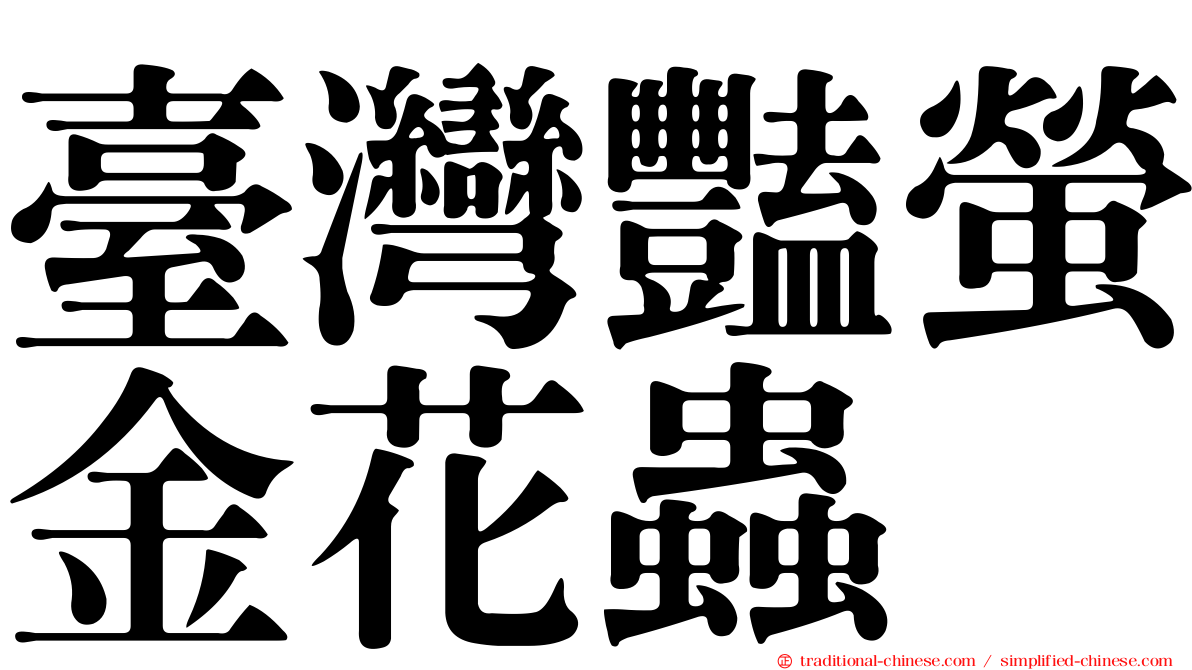 臺灣豔螢金花蟲