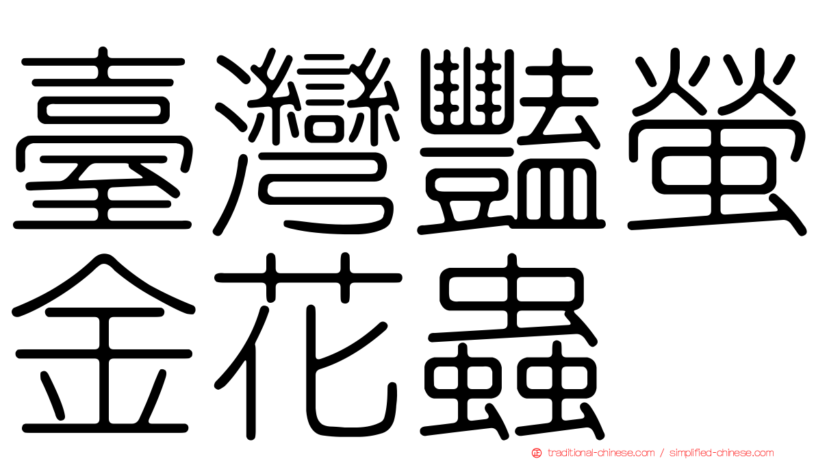 臺灣豔螢金花蟲