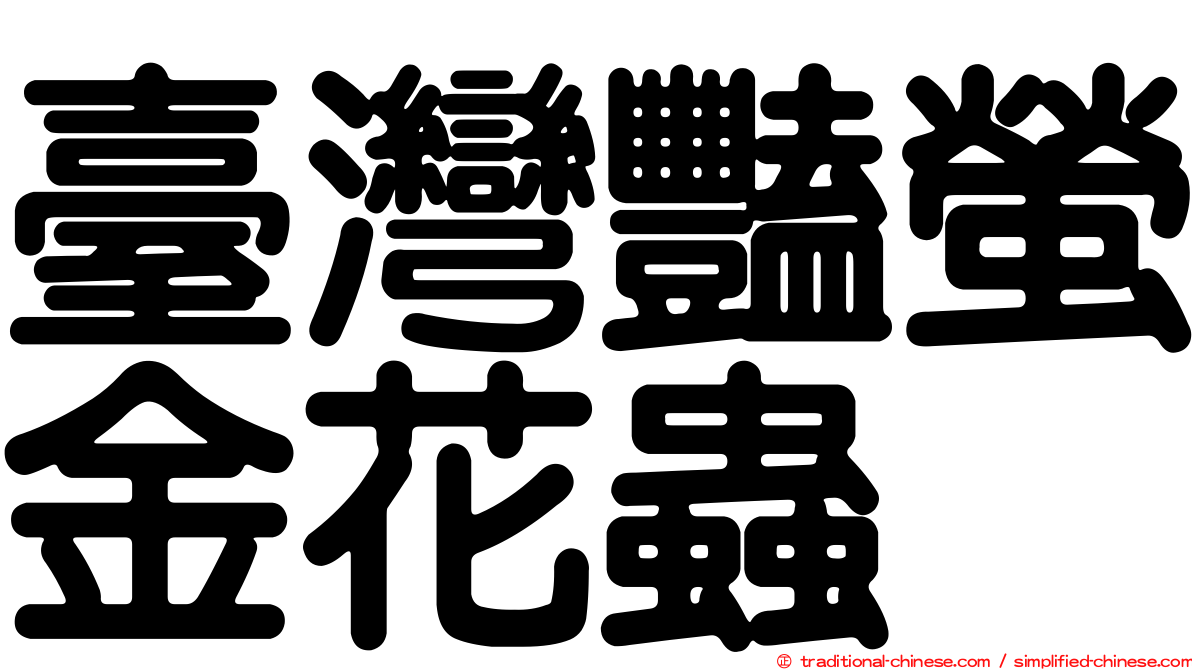 臺灣豔螢金花蟲