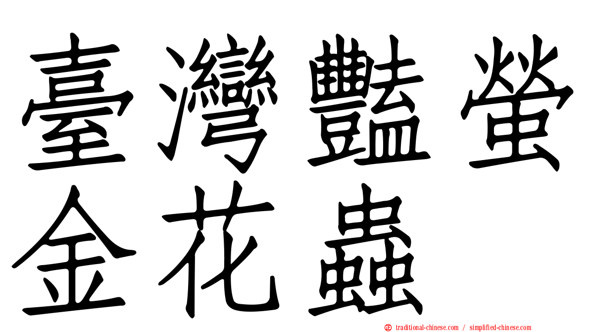 臺灣豔螢金花蟲