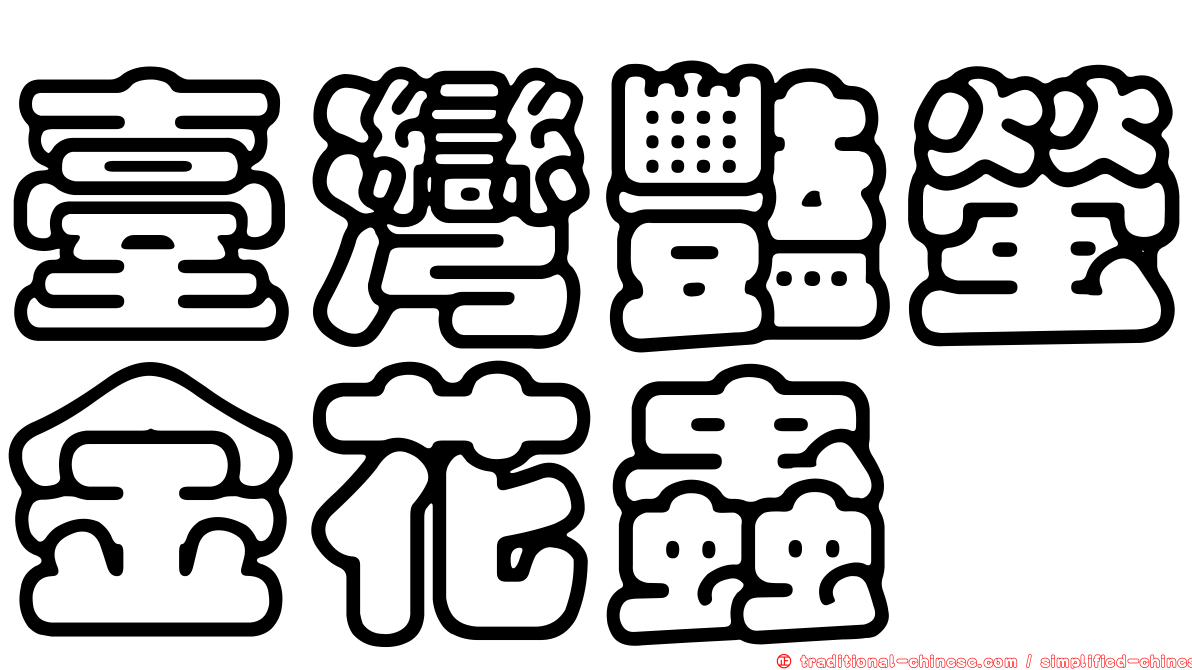 臺灣豔螢金花蟲