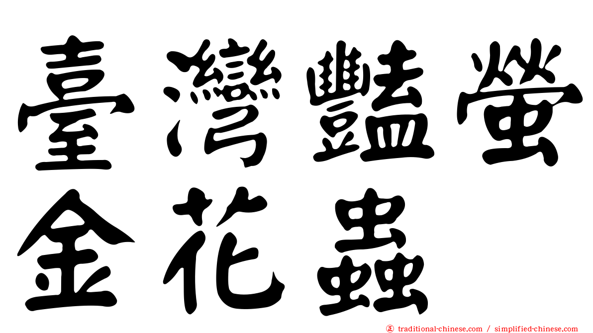 臺灣豔螢金花蟲