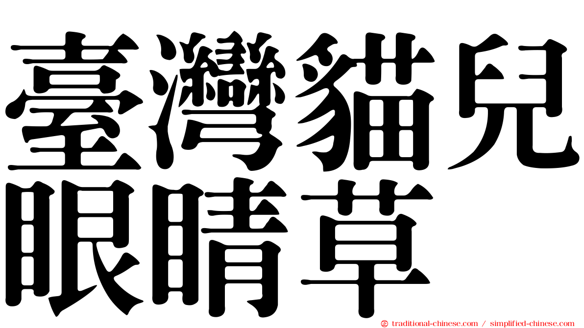 臺灣貓兒眼睛草