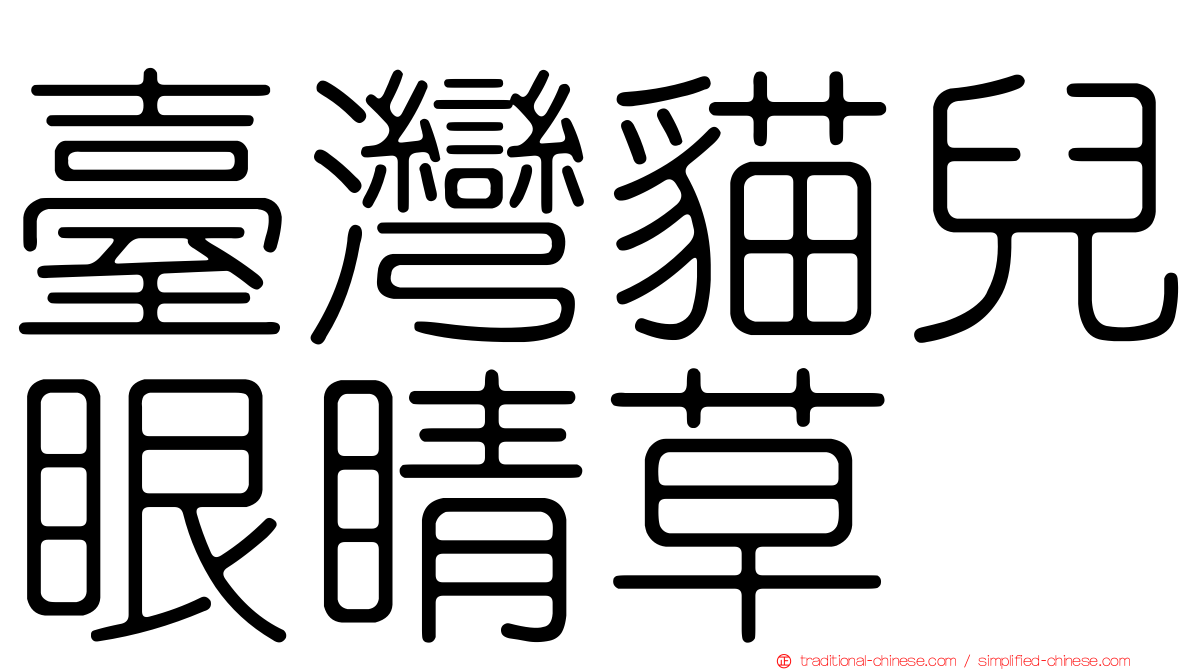 臺灣貓兒眼睛草