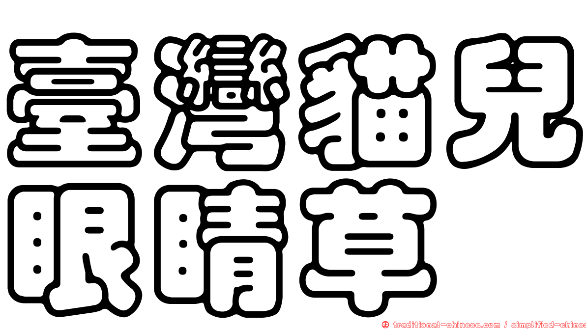 臺灣貓兒眼睛草