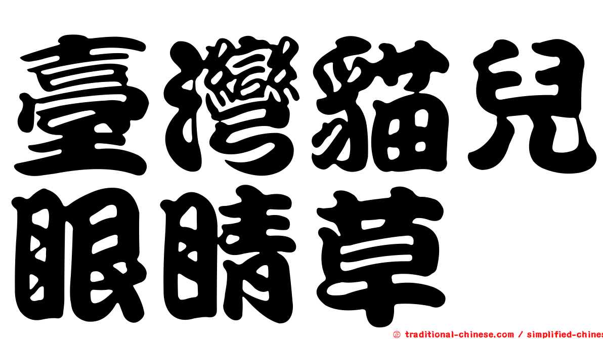 臺灣貓兒眼睛草