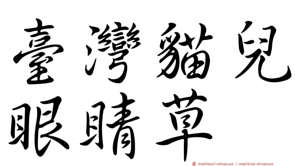 臺灣貓兒眼睛草