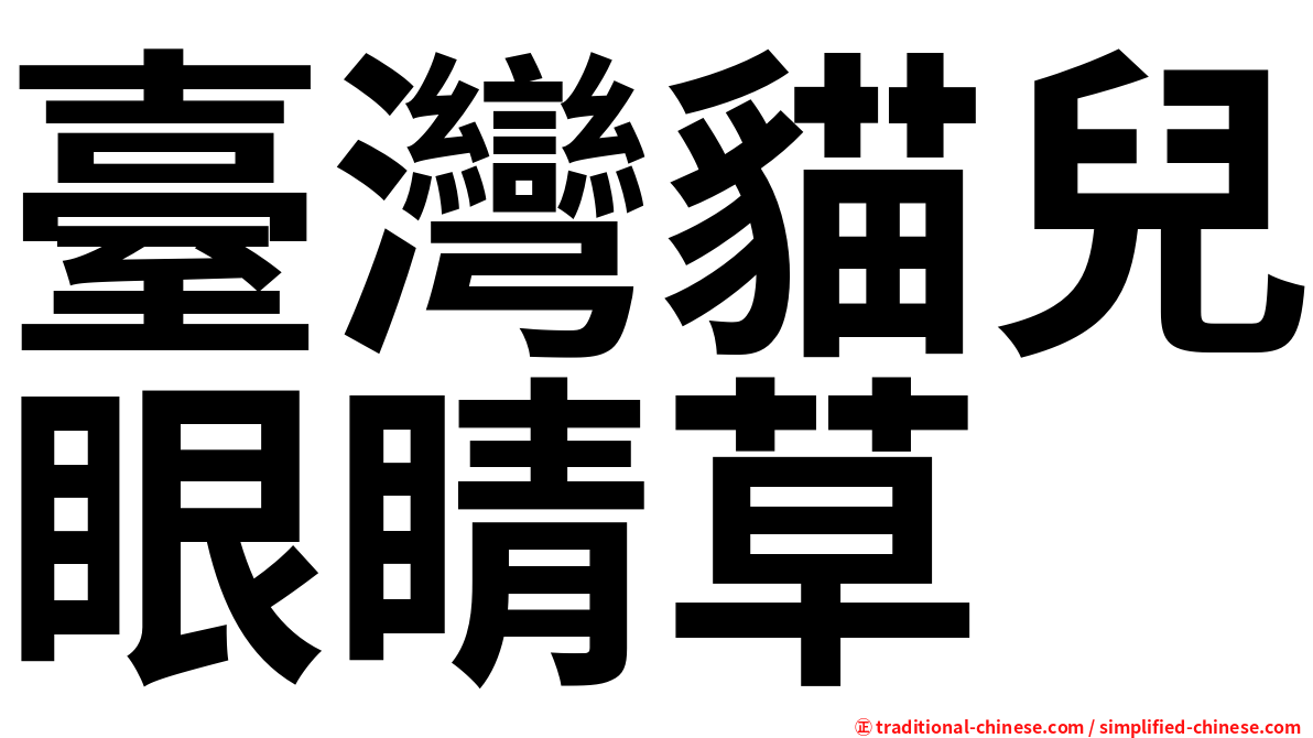 臺灣貓兒眼睛草