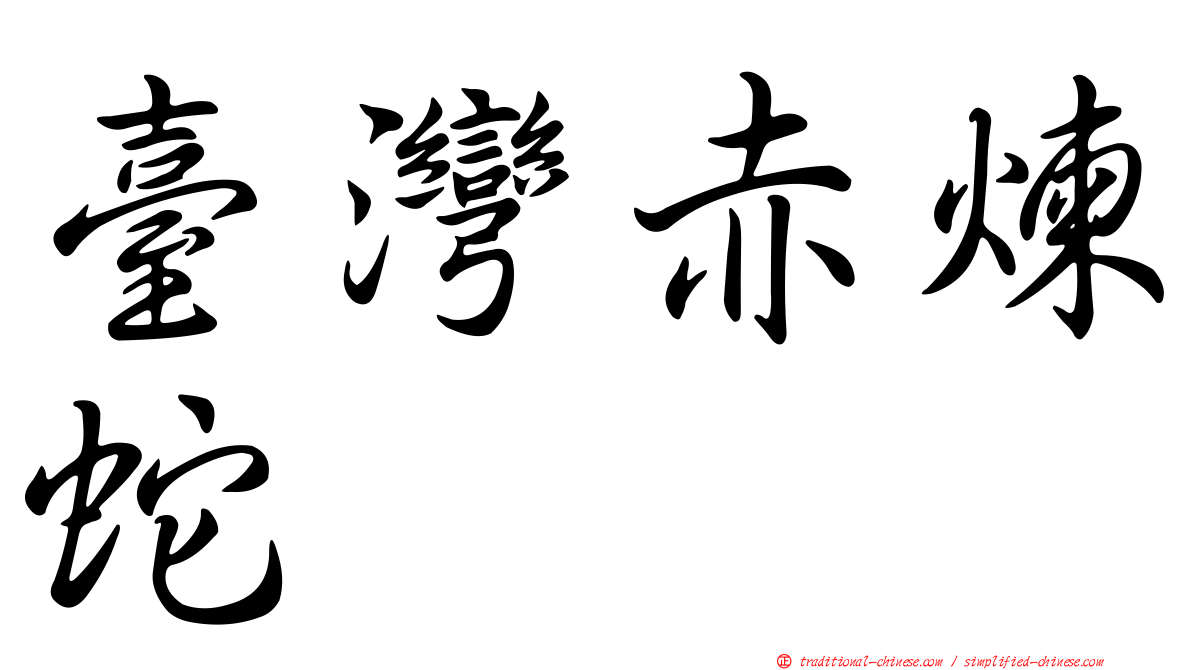 臺灣赤煉蛇