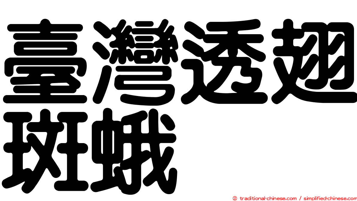 臺灣透翅斑蛾