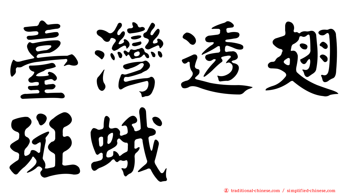 臺灣透翅斑蛾