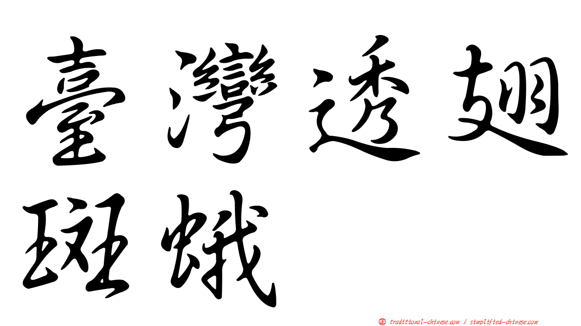 臺灣透翅斑蛾