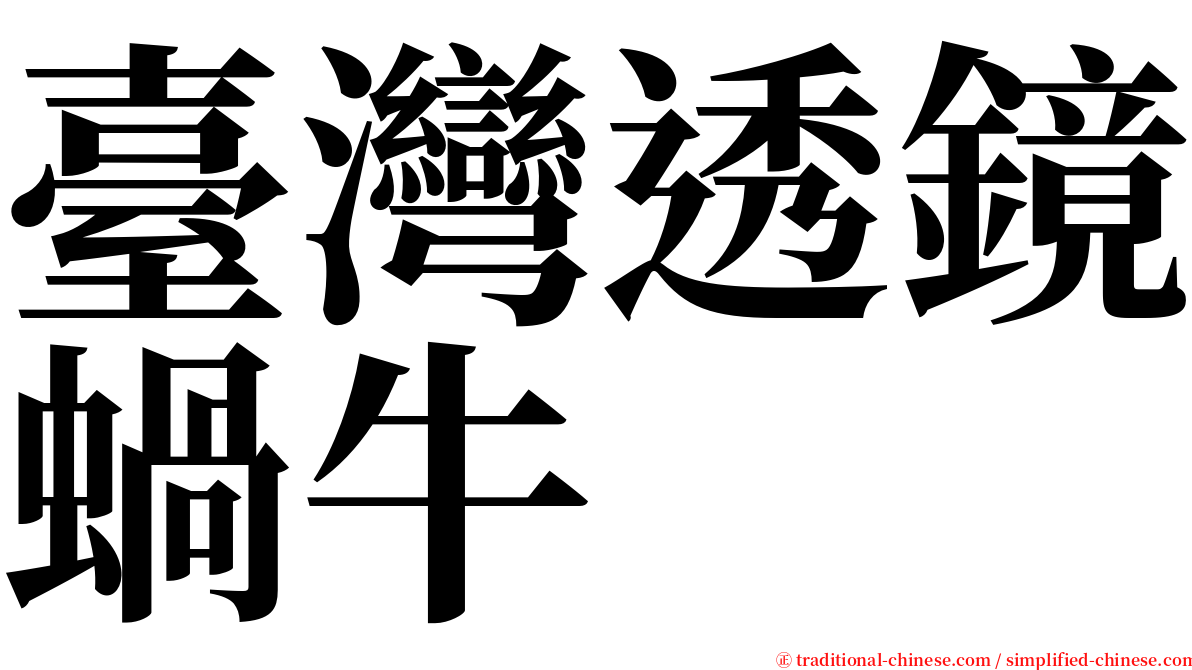 臺灣透鏡蝸牛 serif font