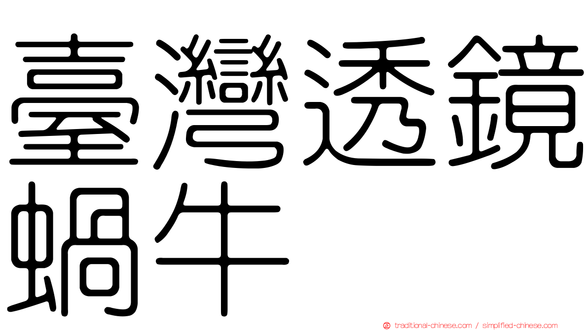 臺灣透鏡蝸牛