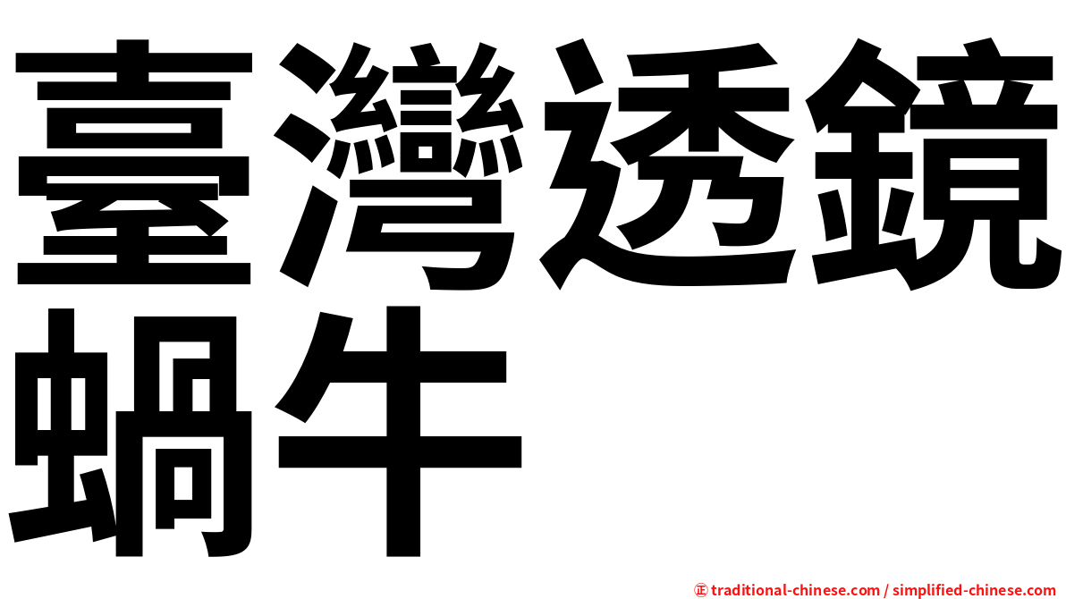 臺灣透鏡蝸牛