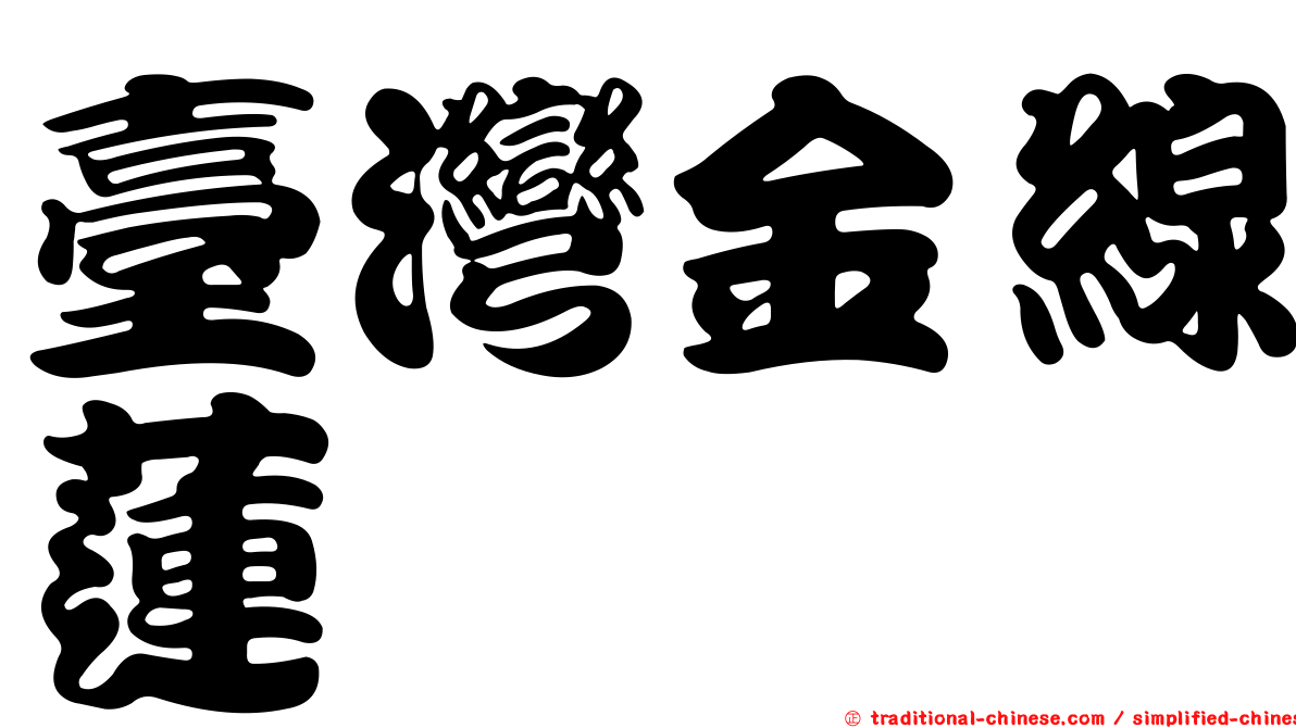 臺灣金線蓮