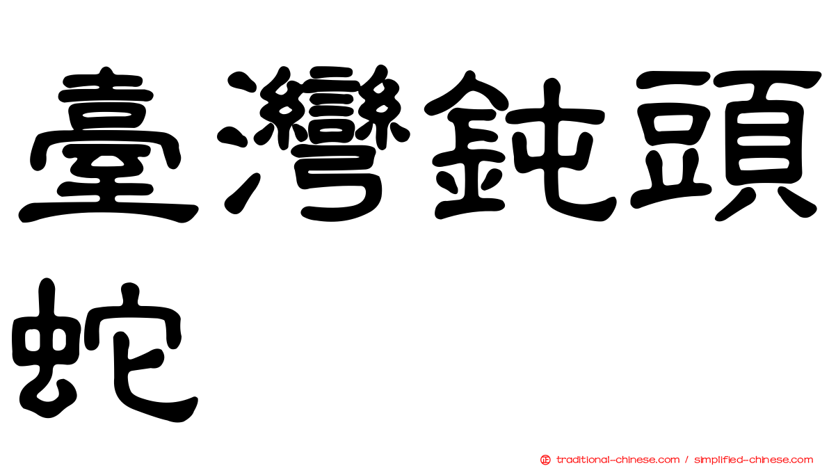 臺灣鈍頭蛇