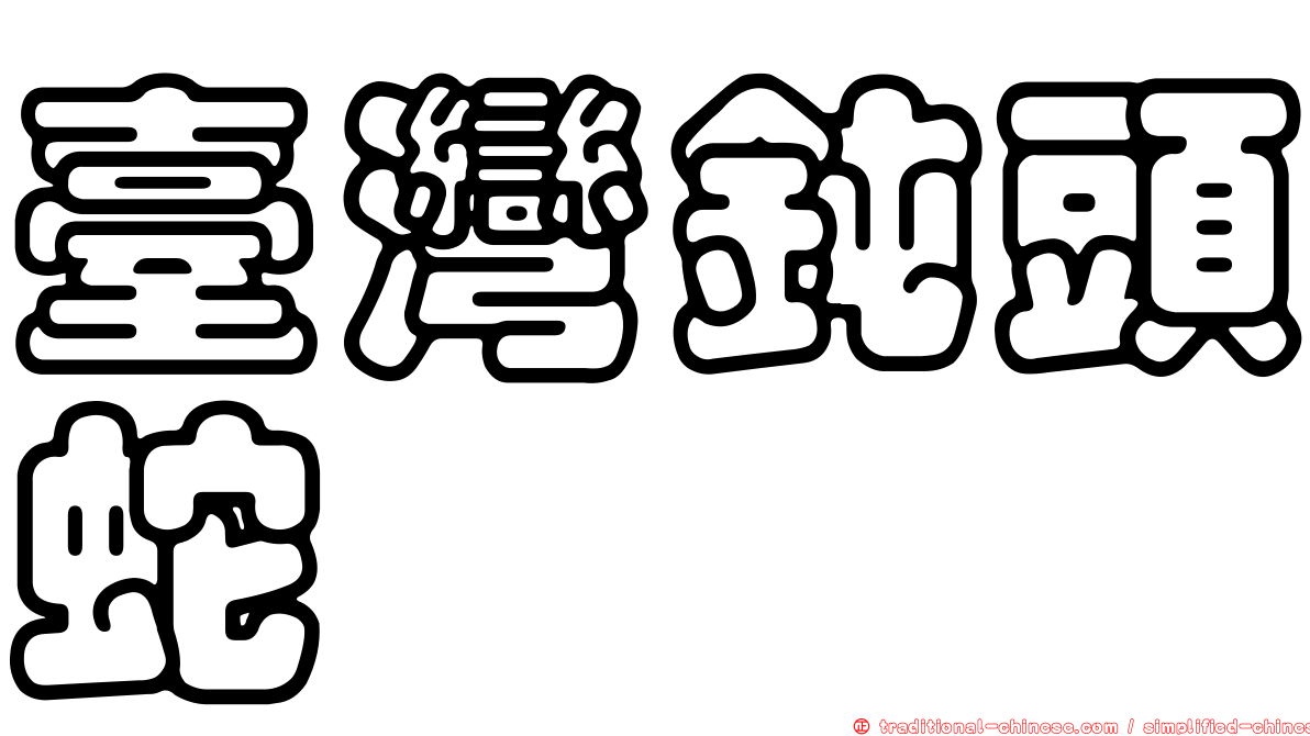 臺灣鈍頭蛇