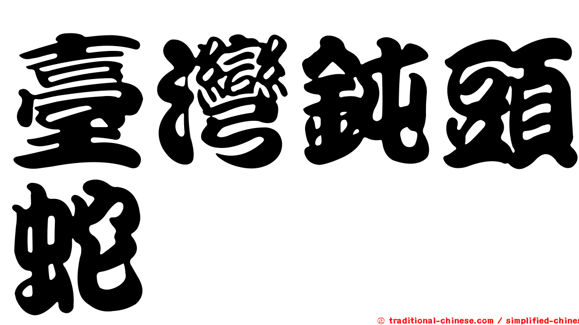 臺灣鈍頭蛇