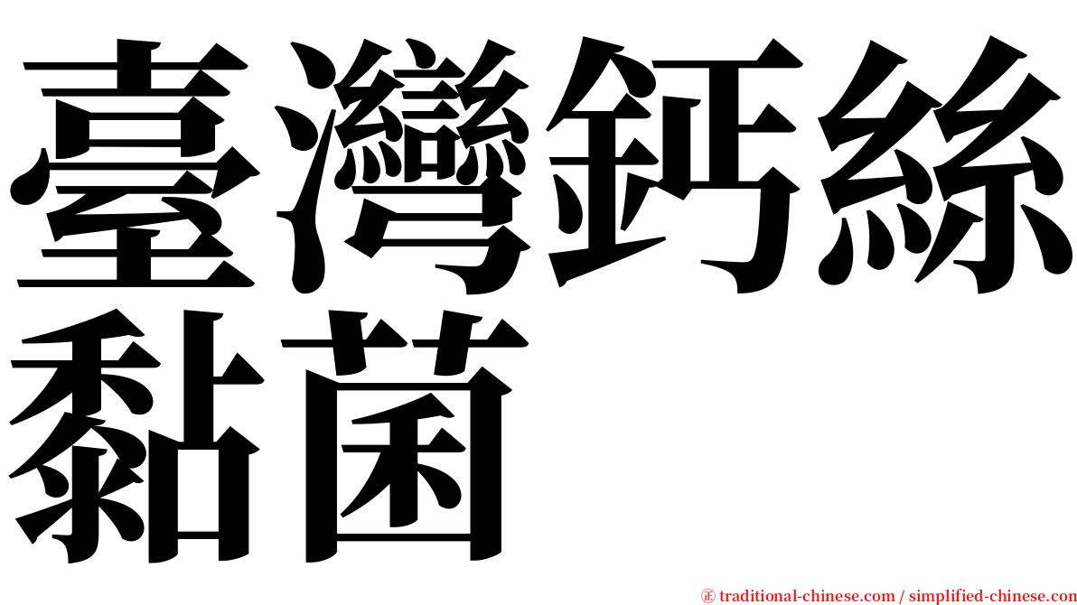 臺灣鈣絲黏菌 serif font