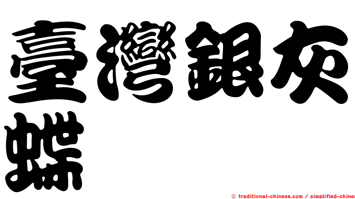 臺灣銀灰蝶