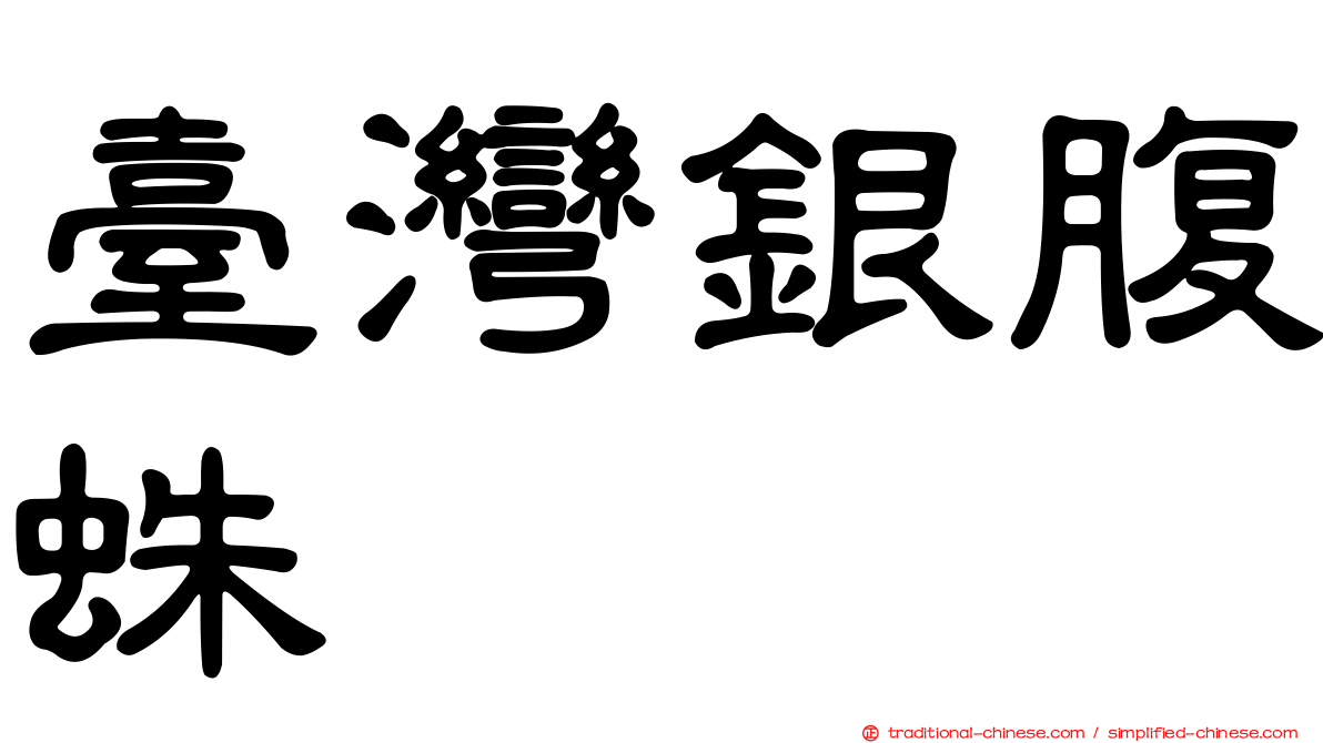 臺灣銀腹蛛