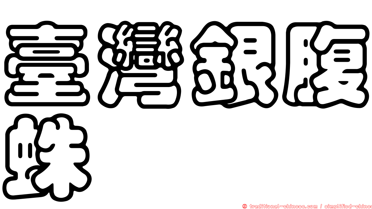 臺灣銀腹蛛