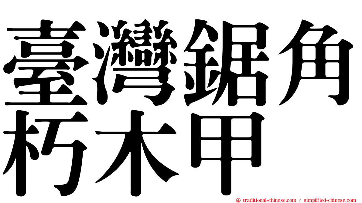 臺灣鋸角朽木甲