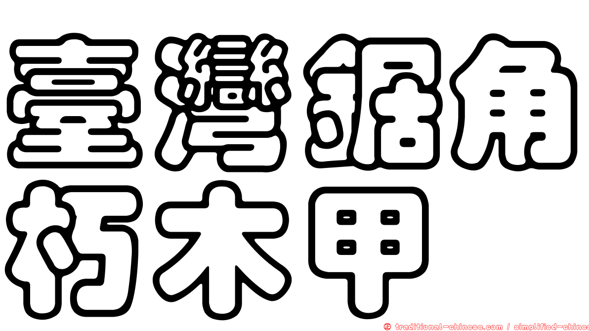 臺灣鋸角朽木甲