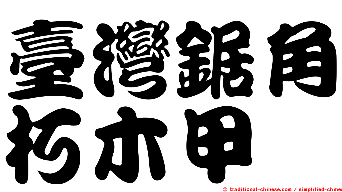 臺灣鋸角朽木甲