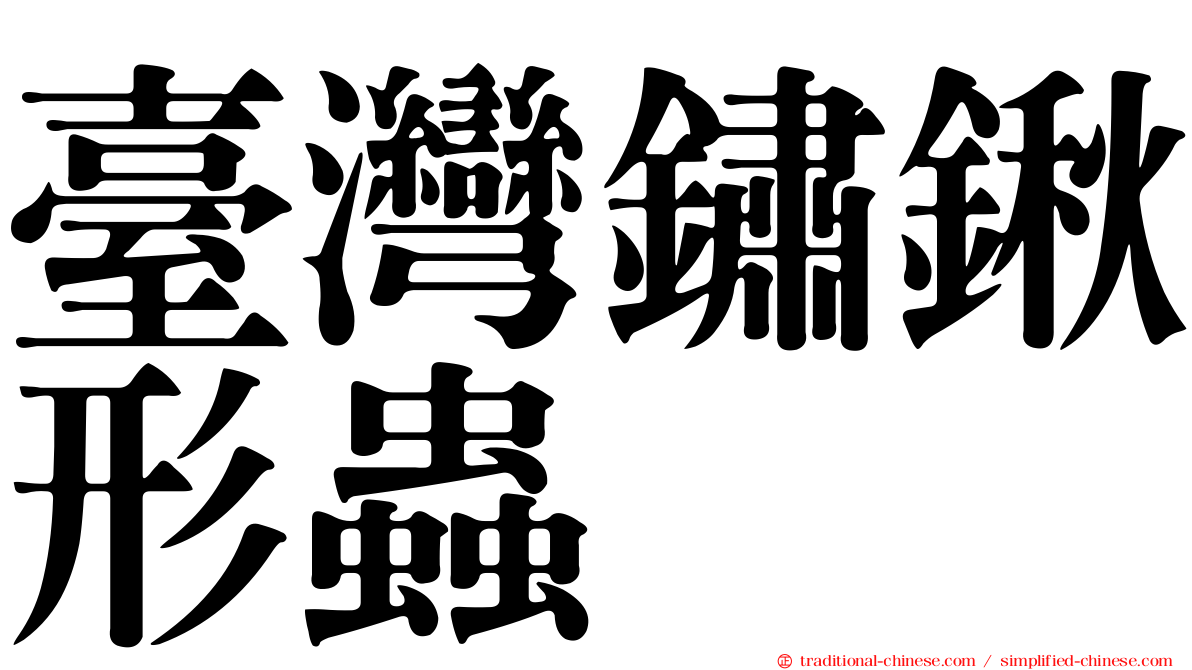 臺灣鏽鍬形蟲
