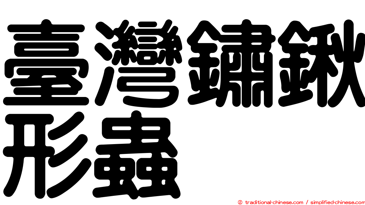 臺灣鏽鍬形蟲