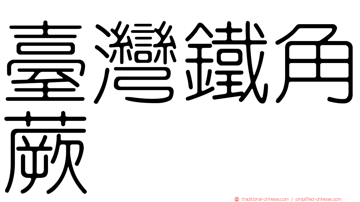 臺灣鐵角蕨