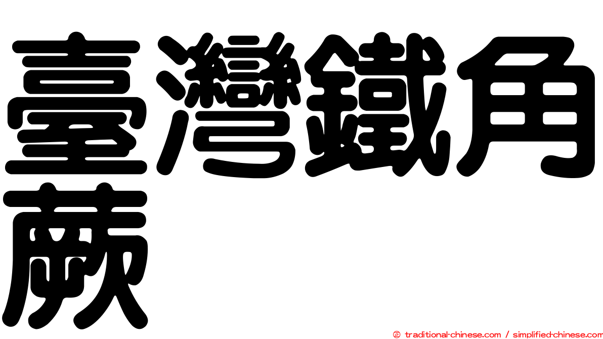 臺灣鐵角蕨