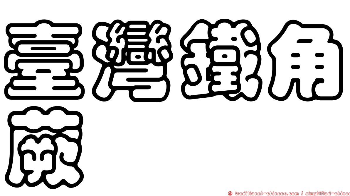 臺灣鐵角蕨