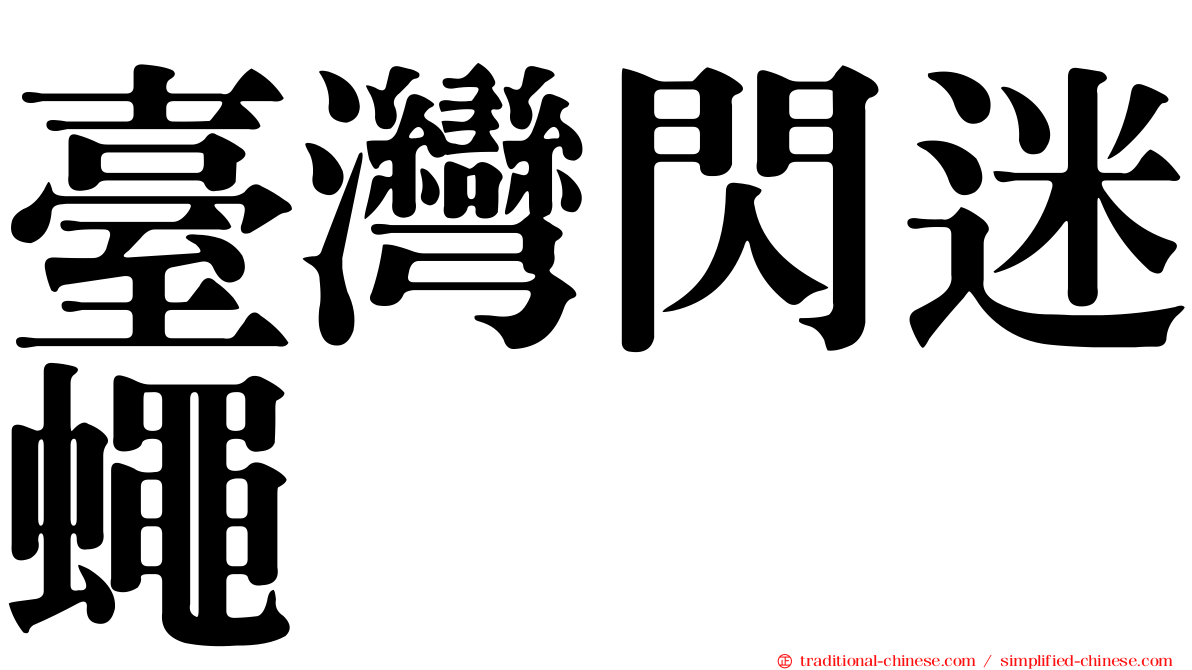 臺灣閃迷蠅