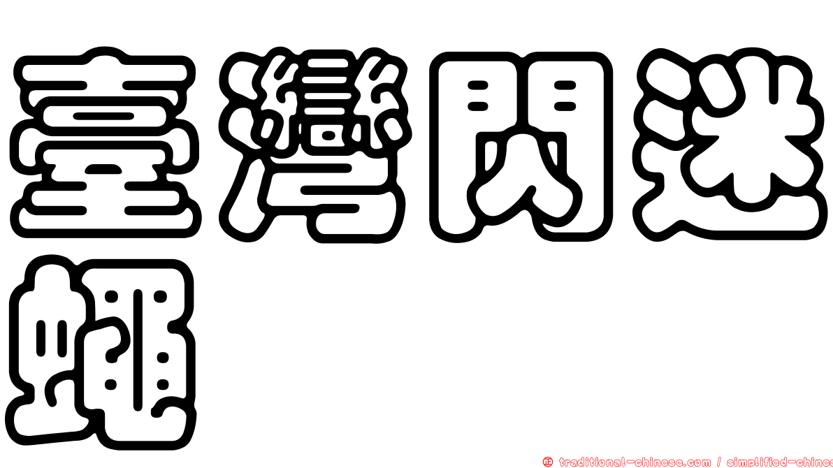 臺灣閃迷蠅