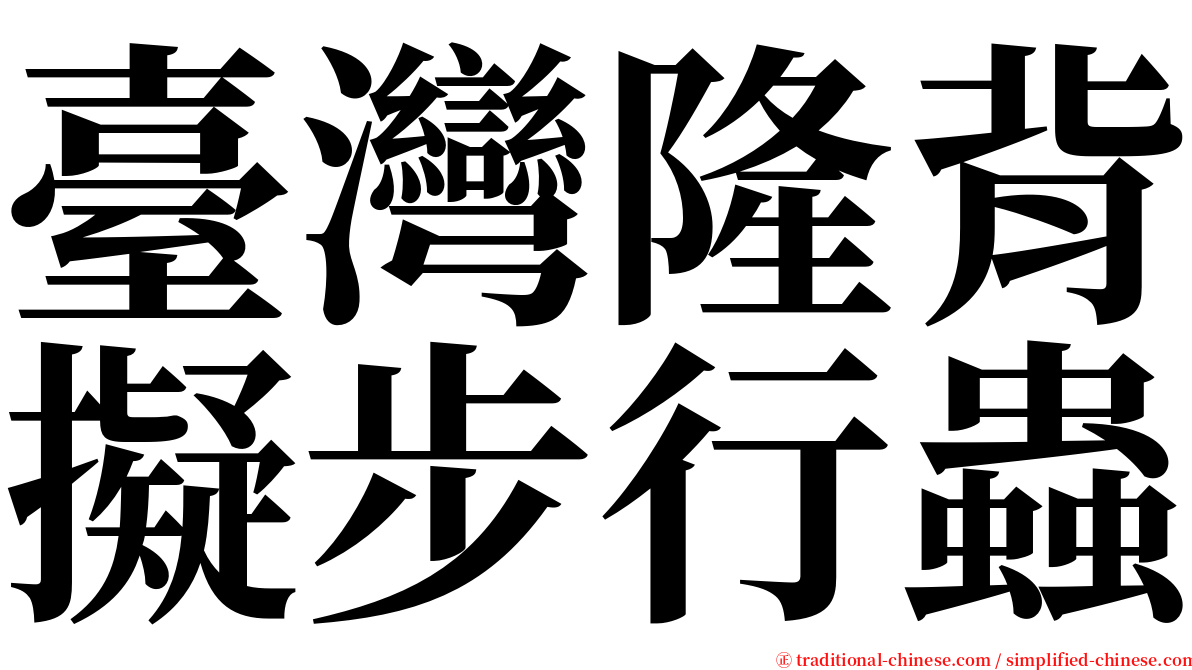 臺灣隆背擬步行蟲 serif font